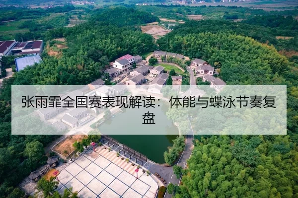 张雨霏全国赛表现解读：体能与蝶泳节奏复盘